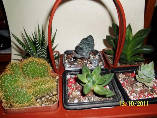 Name:  100_1186.jpg
Views: 1494
Size:  53.2 KB