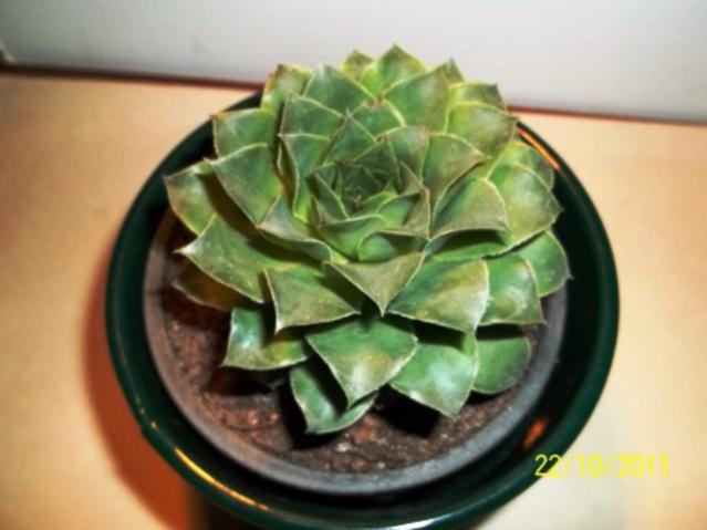 Name:  100_1227.jpg
Views: 1229
Size:  32.7 KB