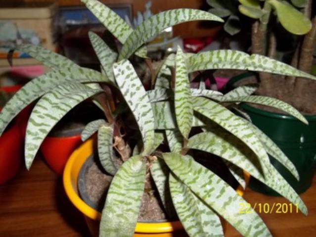 Name:  100_1219.jpg
Views: 1304
Size:  47.3 KB