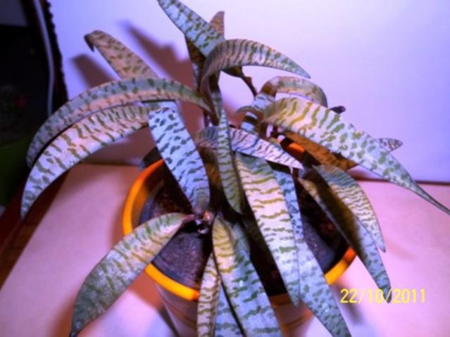 Name:  100_1233.jpg
Views: 1246
Size:  40.5 KB