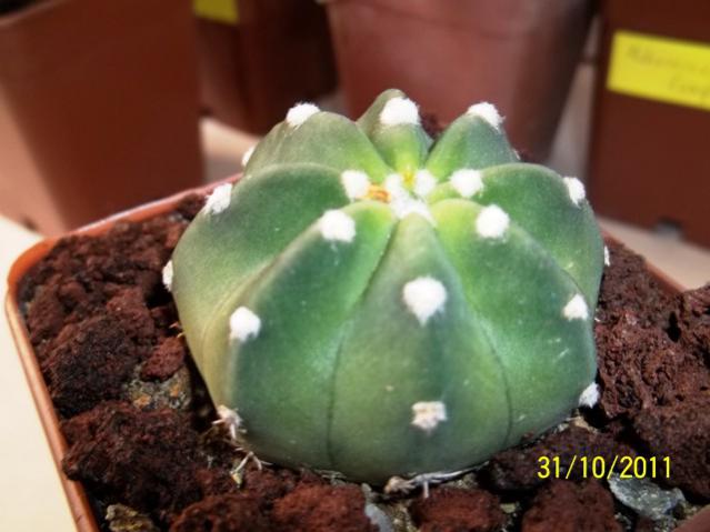 Name:  100_1259.jpg
Views: 997
Size:  37.7 KB
