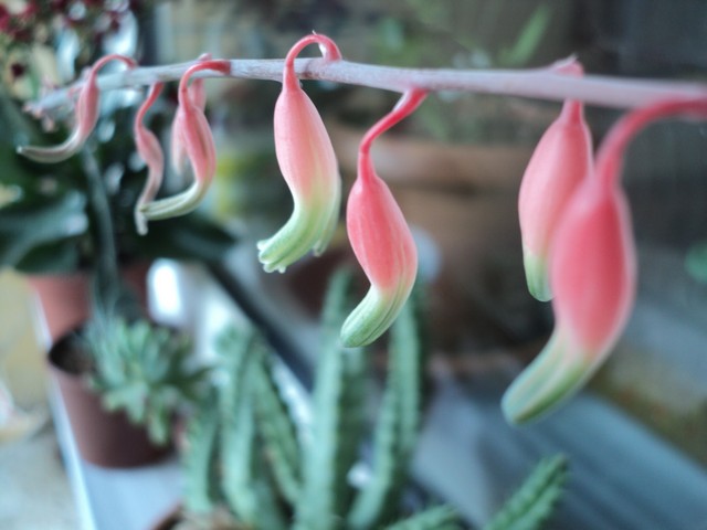 Name:  Image00005.jpg
Views: 1358
Size:  69.8 KB