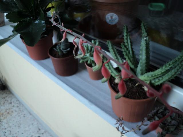 Name:  Image00007.jpg
Views: 1337
Size:  31.9 KB