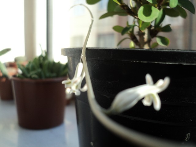 Name:  Image00020.jpg
Views: 1302
Size:  61.0 KB