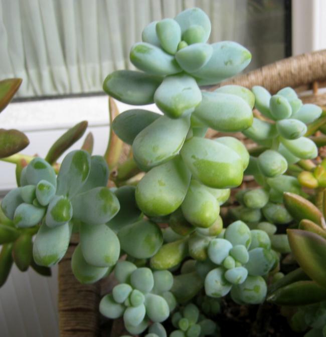 Name:  2011-11-05 057.jpg
Views: 1114
Size:  43.8 KB