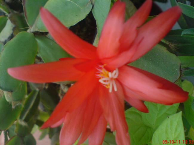 Name:  elf 052.jpg
Views: 395
Size:  29.9 KB