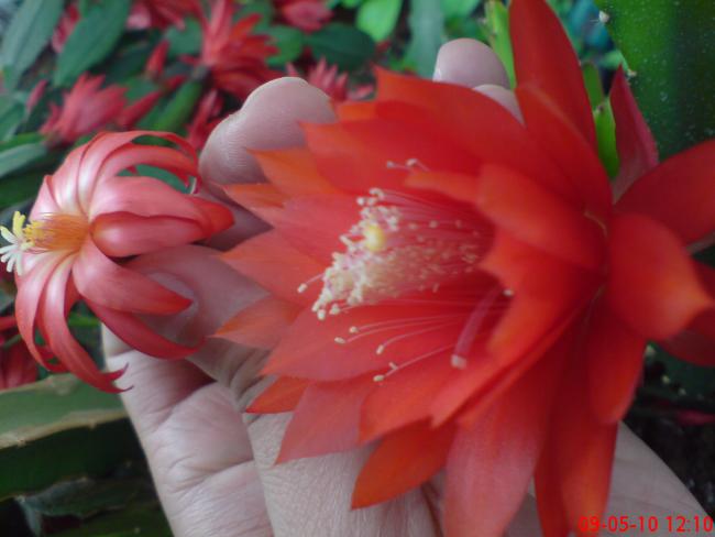 Name:  elf 010.jpg
Views: 396
Size:  32.3 KB