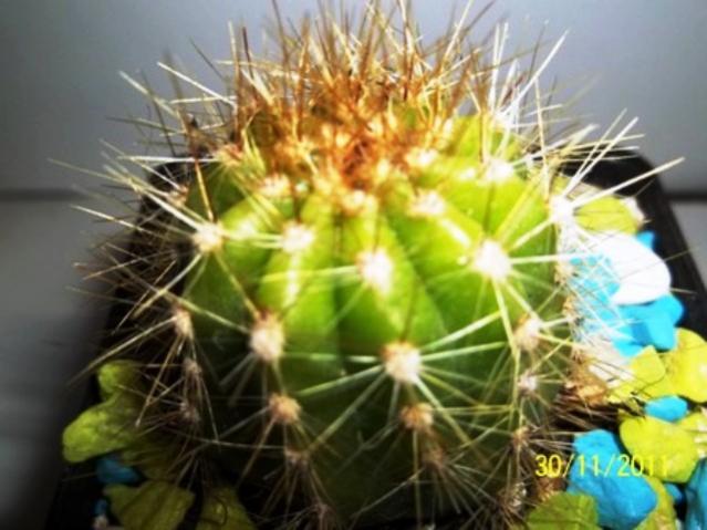 Name:  100_1362.jpg
Views: 939
Size:  44.1 KB