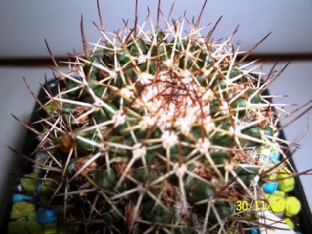 Name:  100_1368.jpg
Views: 884
Size:  51.8 KB