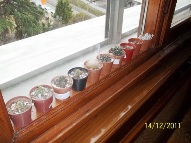 Name:  100_1464.jpg
Views: 1627
Size:  42.6 KB