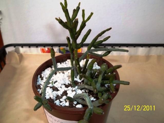 Name:  100_1535.jpg
Views: 1117
Size:  36.4 KB