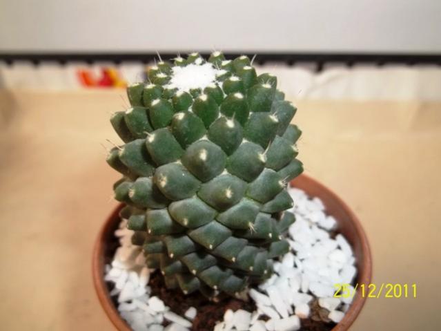 Name:  100_1536.jpg
Views: 1130
Size:  30.6 KB