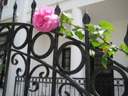 Name:  0046.JPG
Views: 684
Size:  47.6 KB