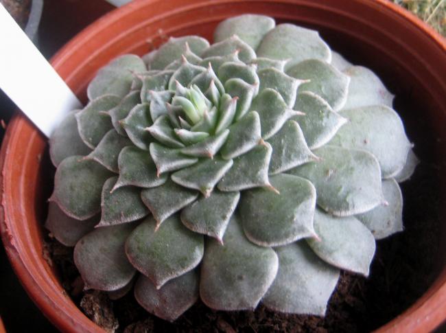 Name:  2012-01-08 BTKLER 011.jpg
Views: 1262
Size:  43.6 KB