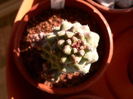 Name:  P1240563.JPG
Views: 543
Size:  25.5 KB