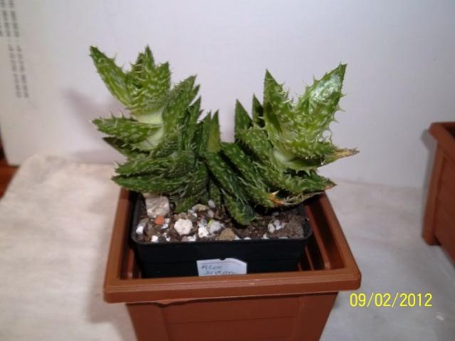 Name:  100_1730.jpg
Views: 2938
Size:  29.5 KB