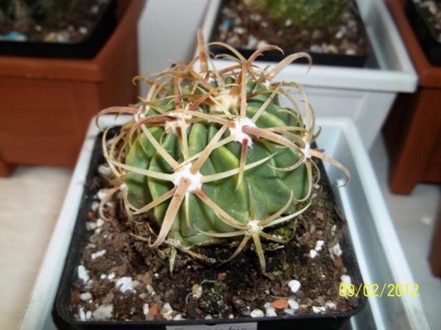 Name:  100_1735.jpg
Views: 881
Size:  45.3 KB