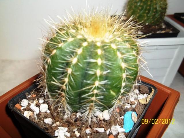Name:  100_1734.jpg
Views: 920
Size:  50.0 KB