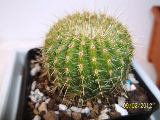 Name:  100_1738.jpg
Views: 933
Size:  43.4 KB