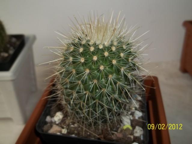 Name:  100_1739.jpg
Views: 915
Size:  33.3 KB