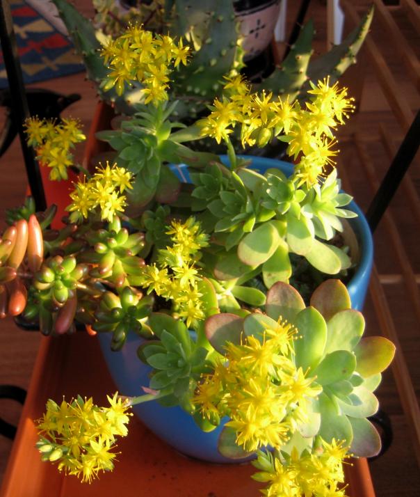 Name:  2012-02-10 BTKLERM 005.jpg
Views: 1048
Size:  72.5 KB