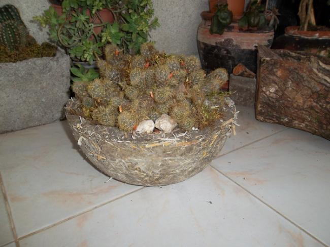Name:  SAM_0664.jpg
Views: 1270
Size:  44.6 KB