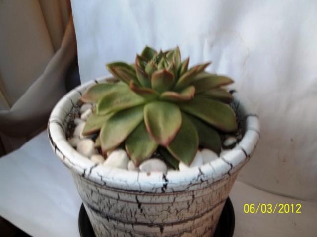 Name:  100_1843.jpg
Views: 723
Size:  28.3 KB