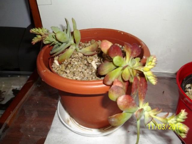 Name:  100_1904.jpg
Views: 846
Size:  36.3 KB