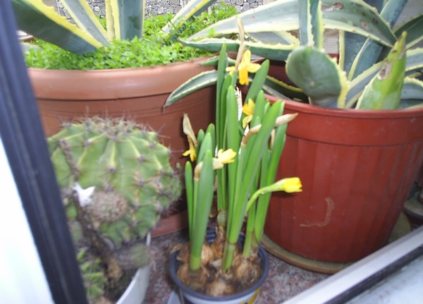 Name:  PIC_0027.JPG
Views: 2729
Size:  60.7 KB