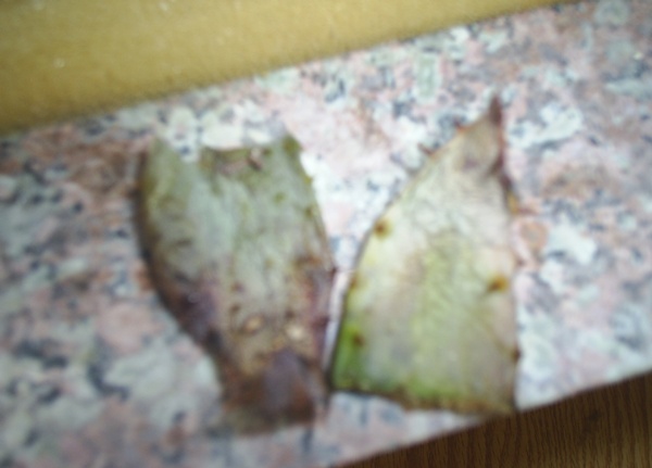 Name:  PIC_0009.JPG
Views: 2343
Size:  60.3 KB