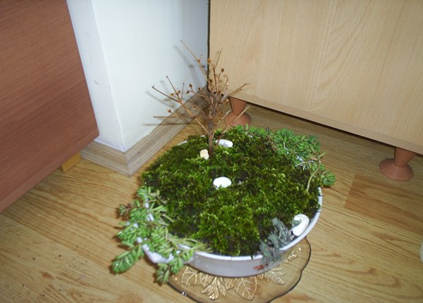 Name:  PIC_0026.JPG
Views: 2047
Size:  58.1 KB