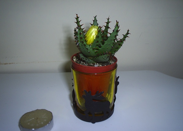 Name:  PIC_0034.JPG
Views: 1615
Size:  58.2 KB