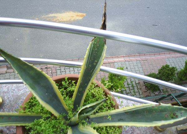 Name:  PIC_0001.JPG
Views: 2077
Size:  54.2 KB