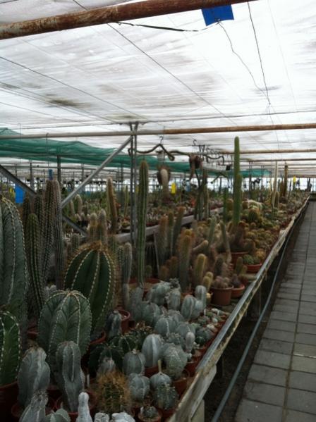 Name:  IMG_2980.jpg
Views: 889
Size:  46.4 KB
