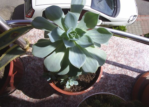 Name:  PIC_0046.JPG
Views: 1594
Size:  54.7 KB