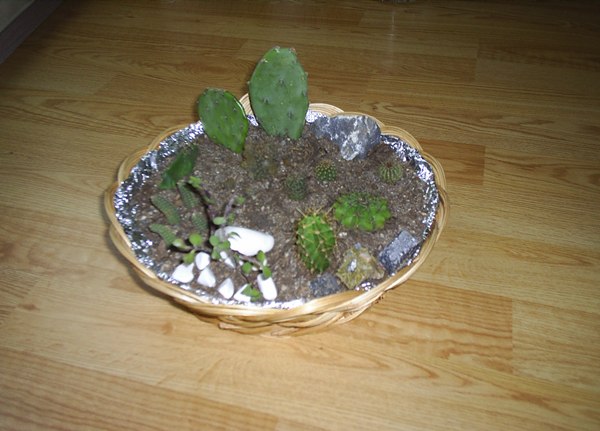 Name:  PIC_0001.JPG
Views: 2455
Size:  55.9 KB
