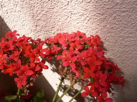 Name:  P1240736.JPG
Views: 365
Size:  40.8 KB