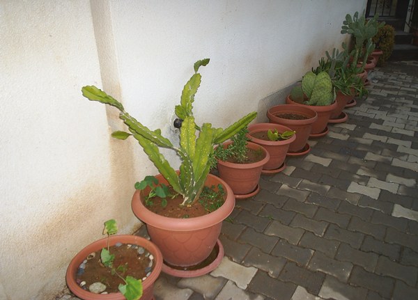 Name:  komu 1.JPG
Views: 2190
Size:  56.3 KB