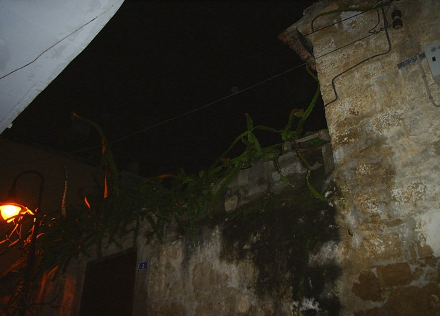 Name:  PIC_0092.JPG
Views: 2422
Size:  57.1 KB