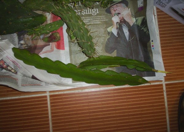 Name:  uzun elik.JPG
Views: 3036
Size:  55.3 KB