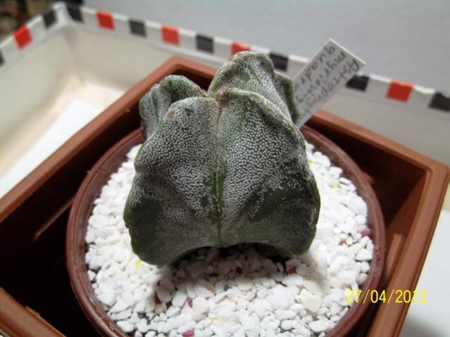 Name:  100_2216.jpg
Views: 739
Size:  41.8 KB