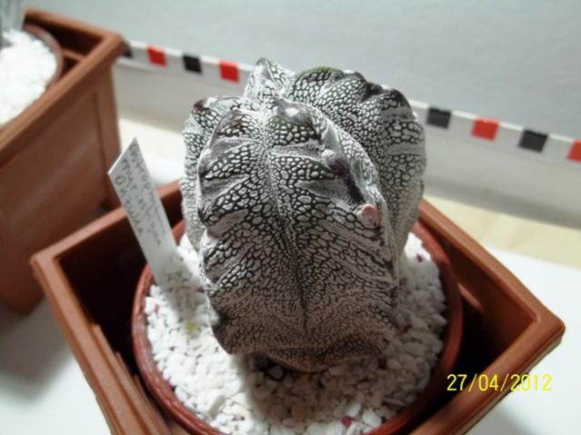 Name:  100_2217.jpg
Views: 753
Size:  42.1 KB