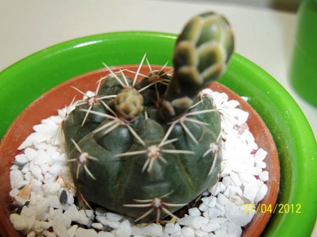 Name:  100_2228.jpg
Views: 728
Size:  39.7 KB