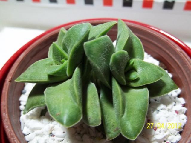 Name:  100_2220.jpg
Views: 804
Size:  39.7 KB