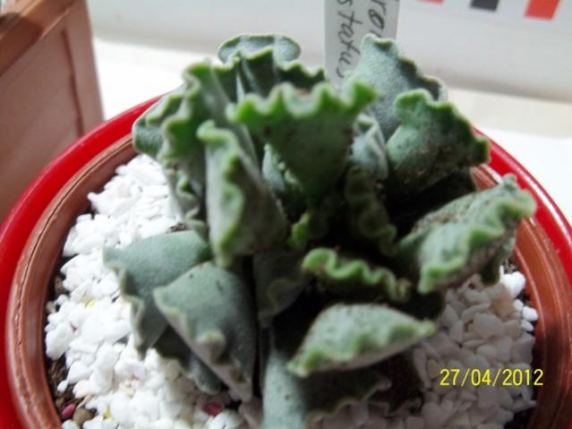 Name:  100_2219.jpg
Views: 755
Size:  37.1 KB