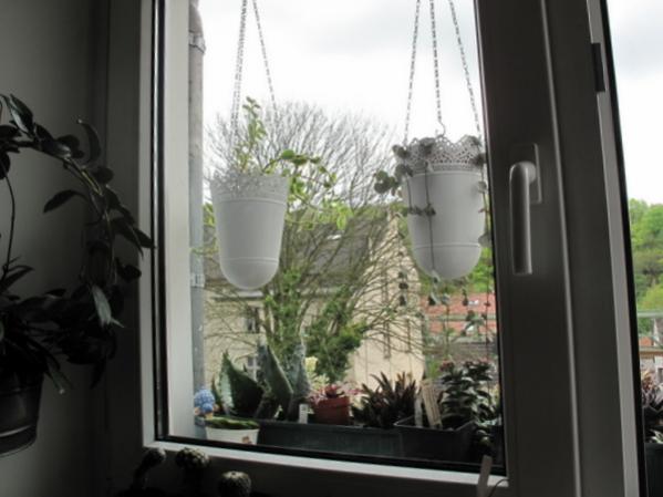 Name:  IMG_4690.jpg
Views: 1069
Size:  34.1 KB