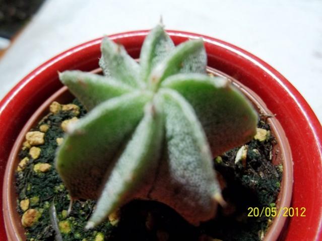 Name:  100_2460.jpg
Views: 725
Size:  39.5 KB