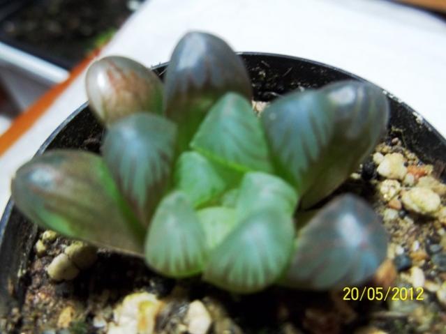 Name:  100_2461.jpg
Views: 725
Size:  33.1 KB