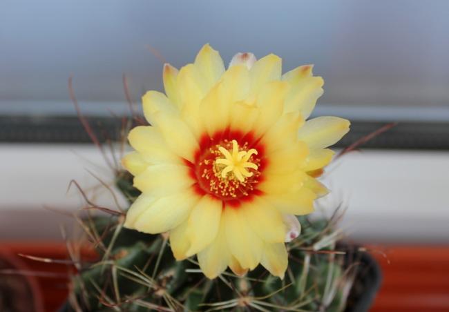 Name:  2012 HAZRAN 435.jpg
Views: 1109
Size:  25.3 KB