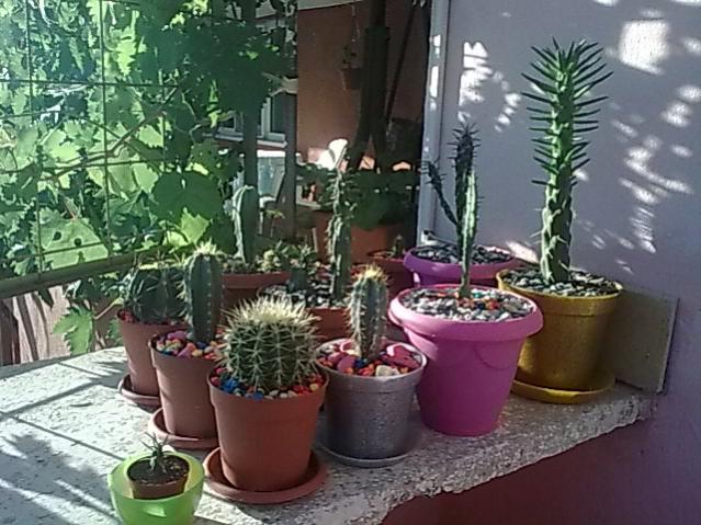 Name:  Grnt0216.jpg
Views: 680
Size:  61.4 KB
